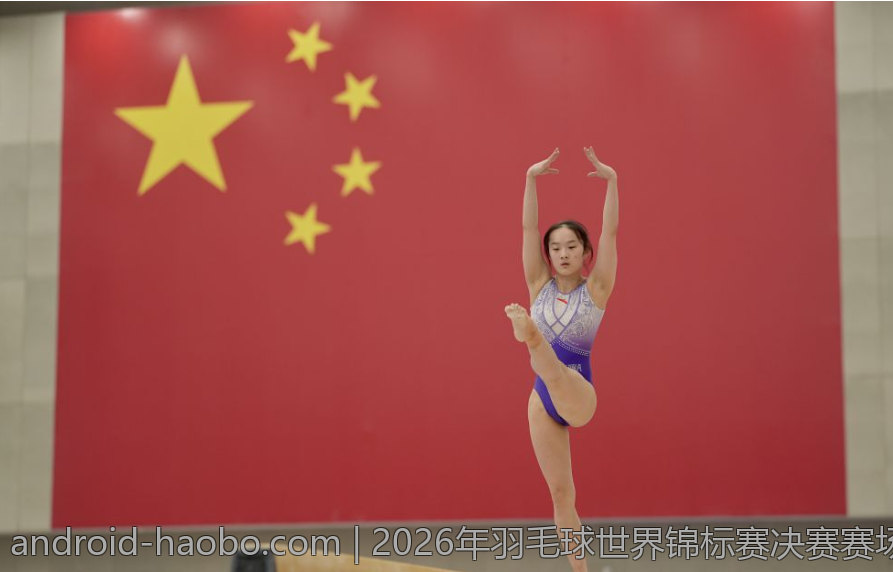 2026年羽毛球世界锦标赛决赛赛场上的激烈对决