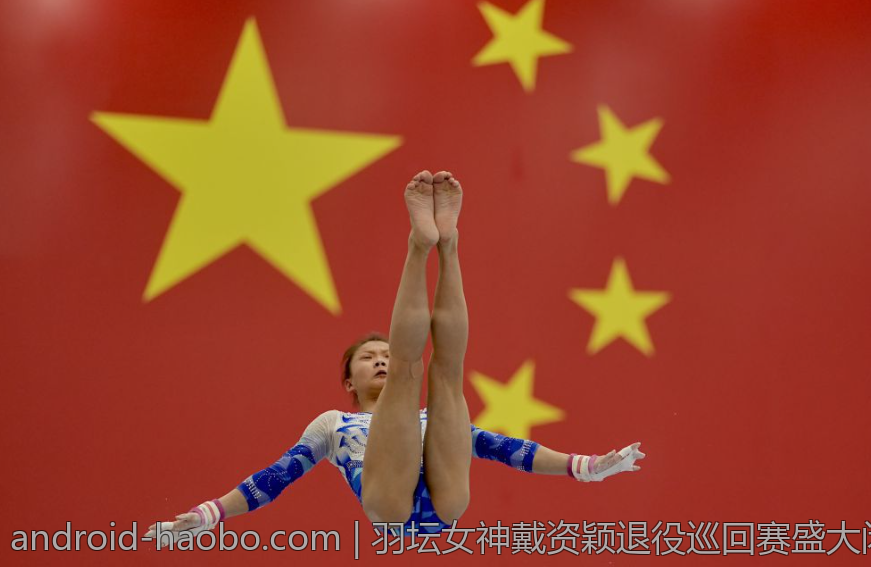 羽坛女神戴资颖退役巡回赛盛大闭幕，缅怀一段难忘的运动生涯
