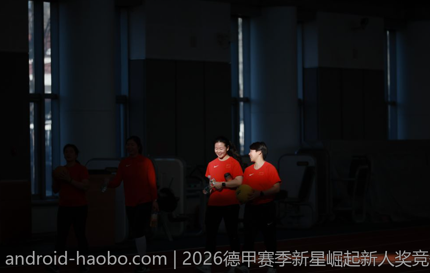 2026德甲赛季新星崛起新人奖竞争激烈