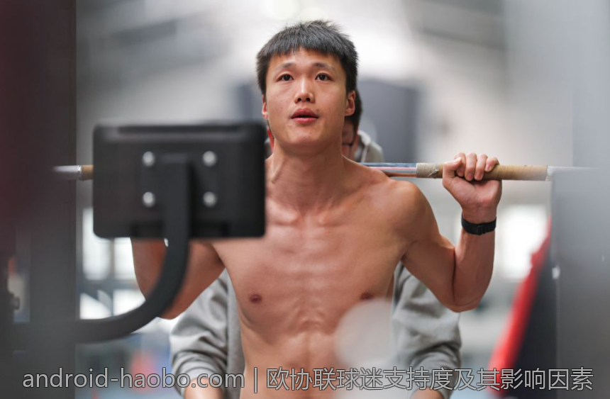 欧协联球迷支持度及其影响因素