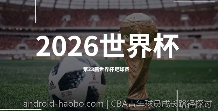 国际球员在意甲联赛的表现评述