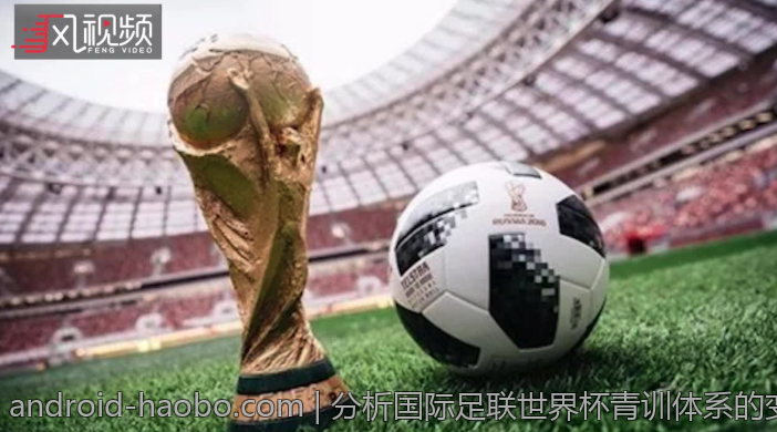 分析国际足联世界杯青训体系的变革